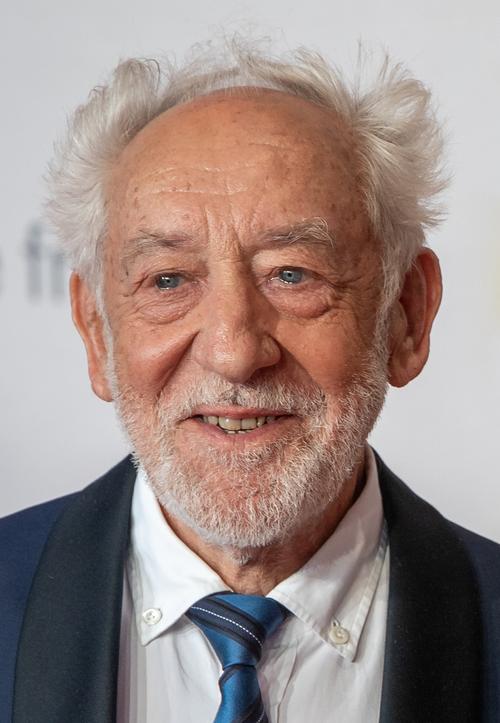 Didi Hallervorden