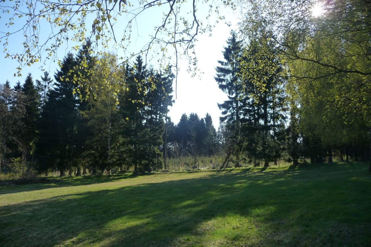 Ewige Sonne