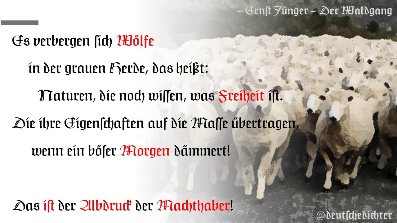 Medienbeitrag