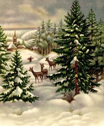 Schweigende Winterwelt