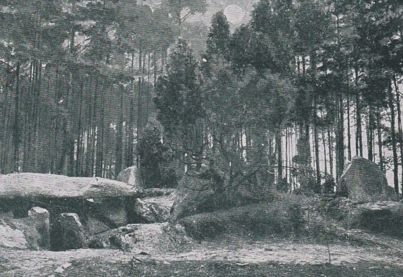 Du deutscher Wald