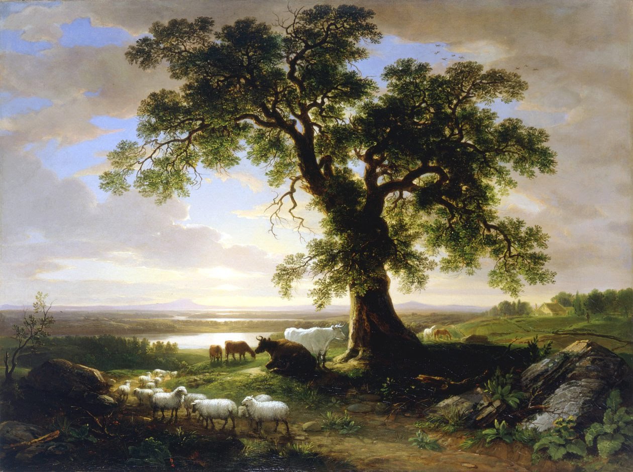 Die Eichbäume