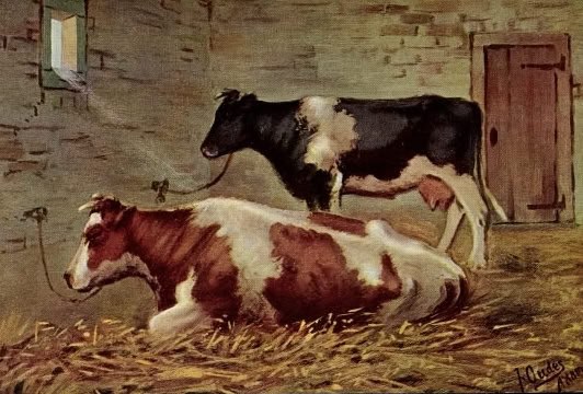 Weihnachten 1945
