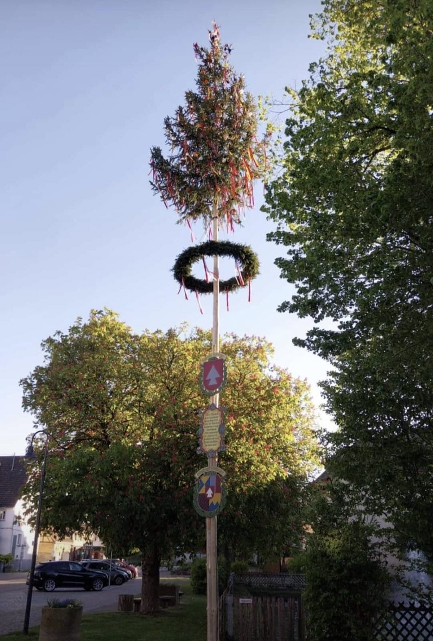 Medienbeitrag