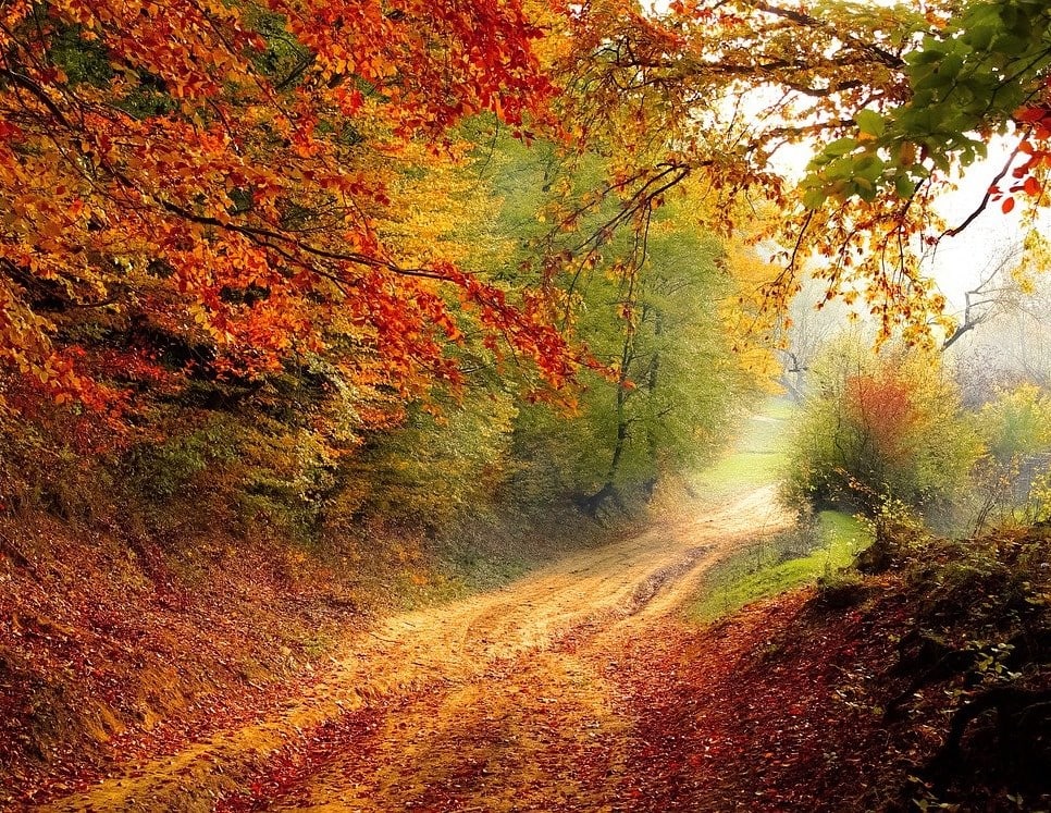 Herbst-Gefühl
