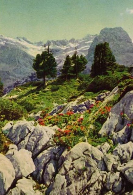 Ludwig Albert Ganghofer am 2026-06-20