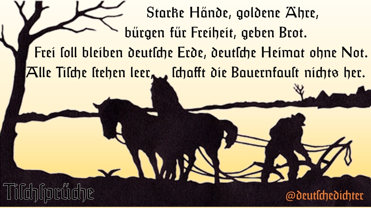 Dichtung am 2022-11-13