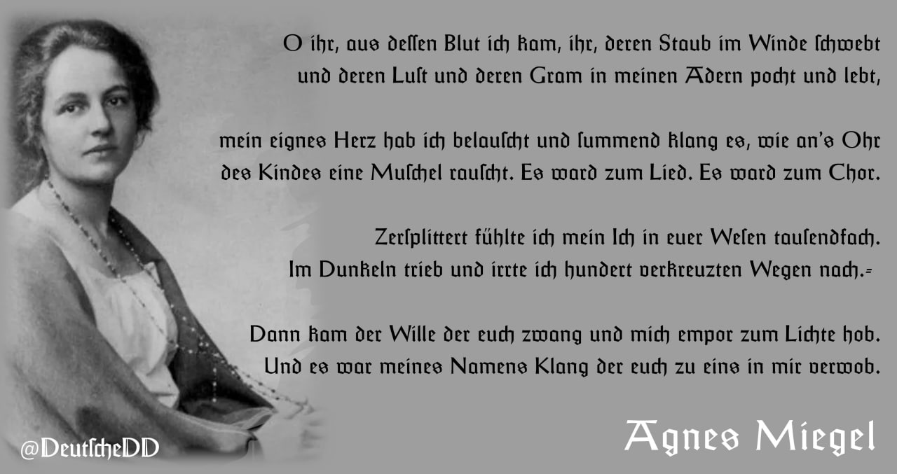 Medienbeitrag