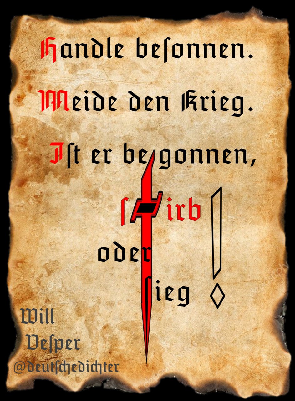 Medienbeitrag