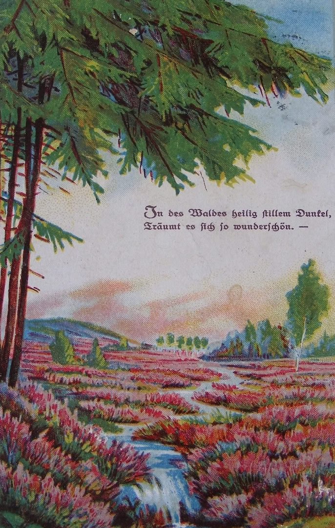 Medienbeitrag