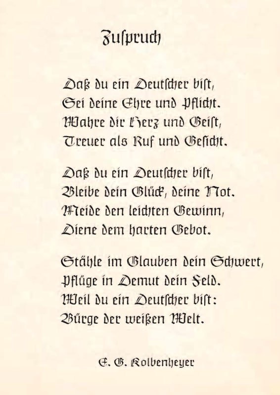 Medienbeitrag