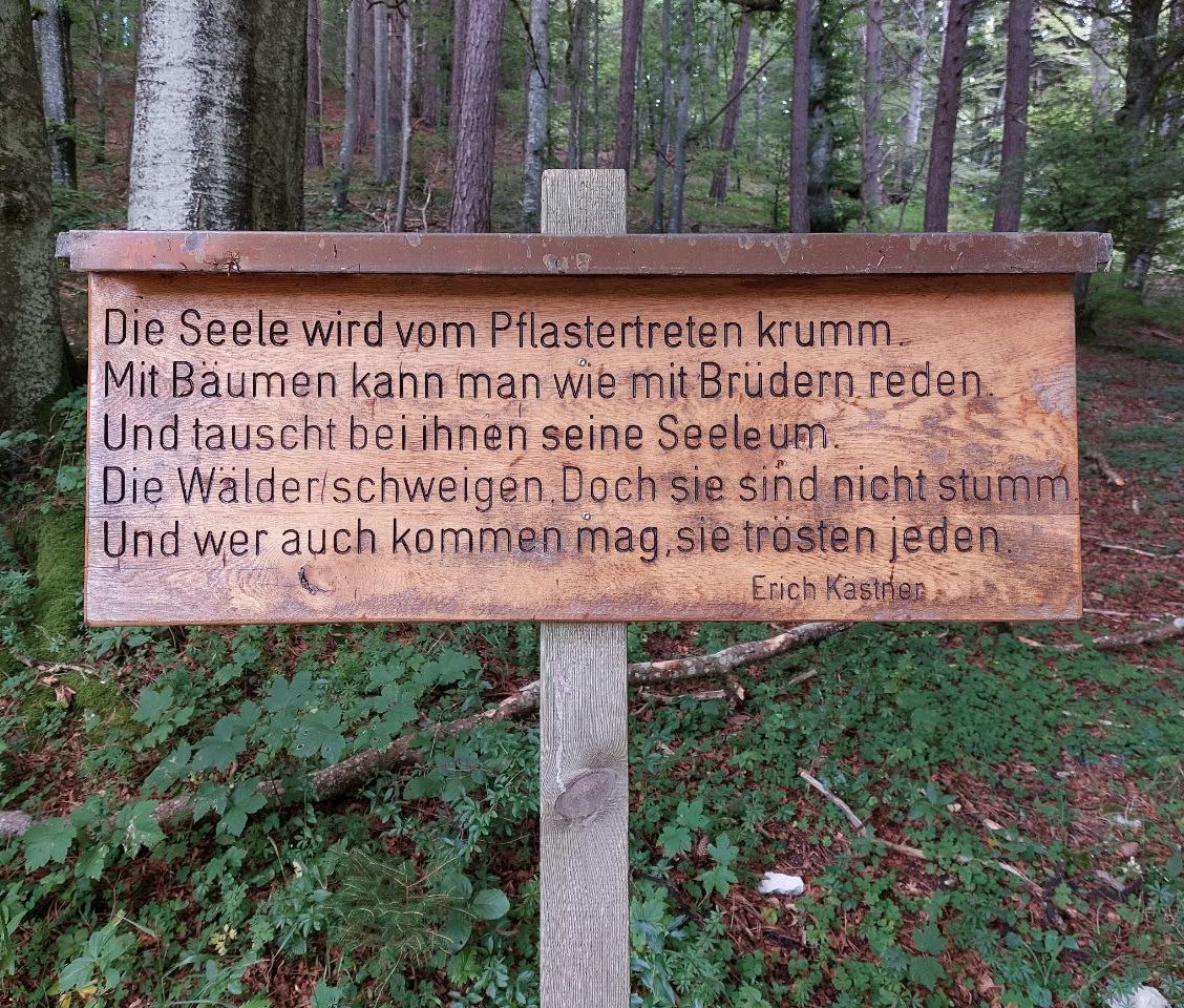 Medienbeitrag