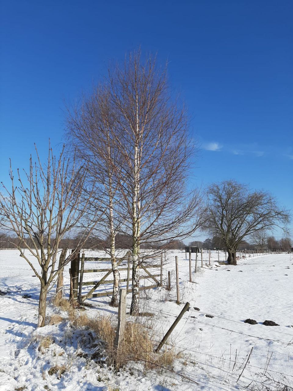 Der Wintereinbruch