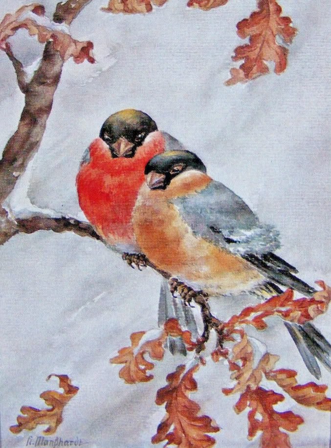 Der Winter