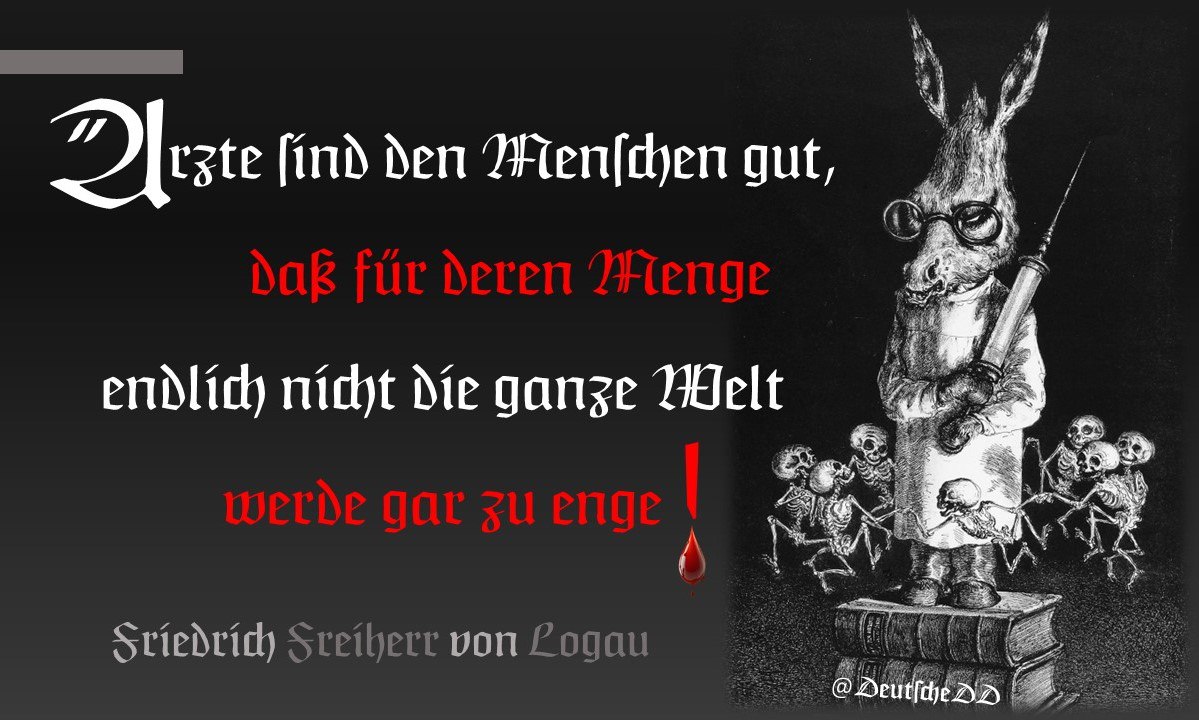 Medienbeitrag