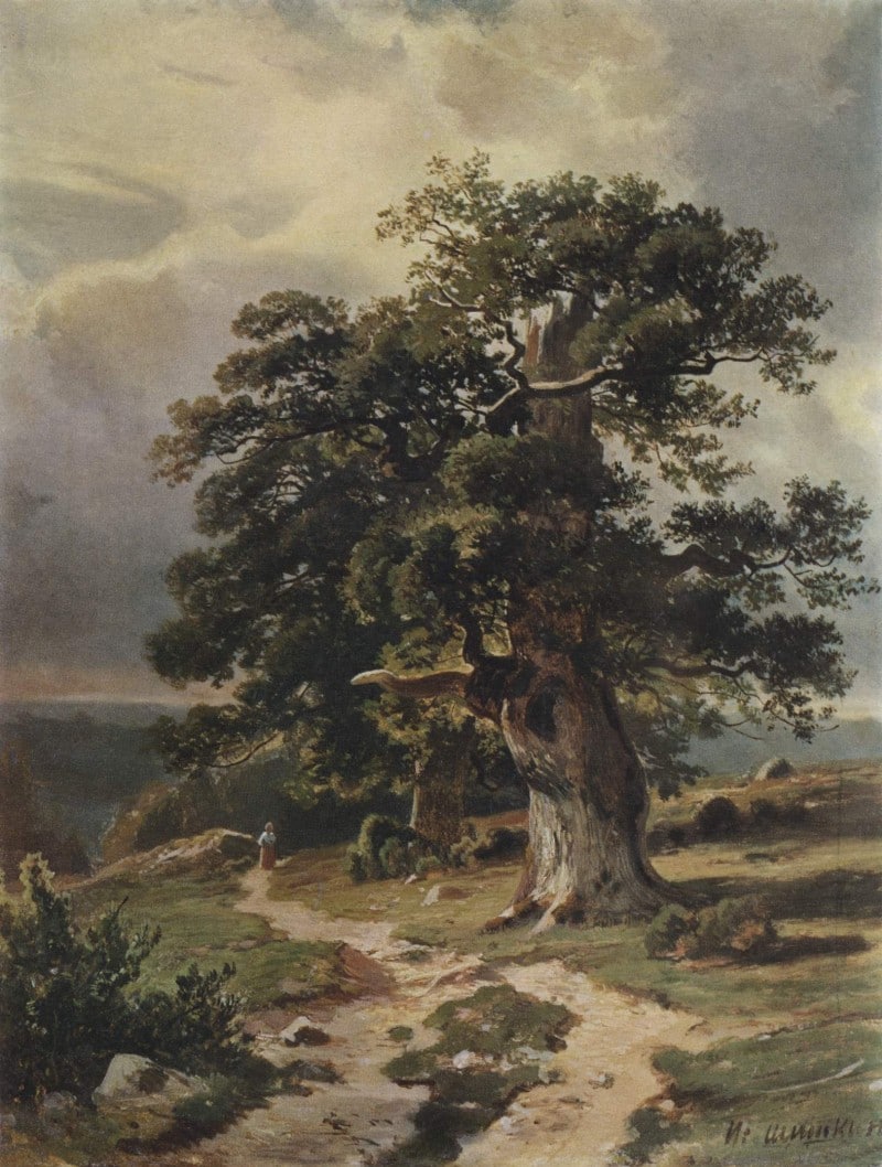 Eigener Weg